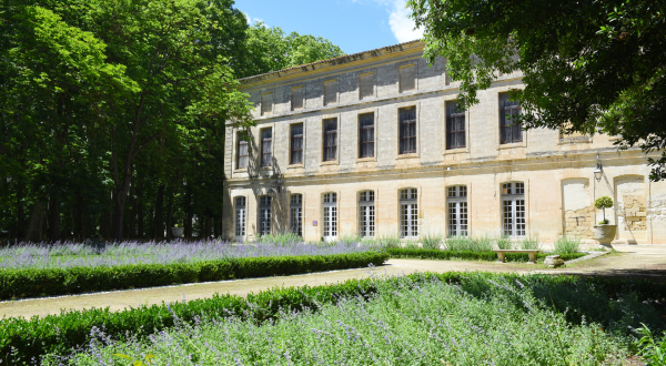 Façade du château devant un champ de lavande