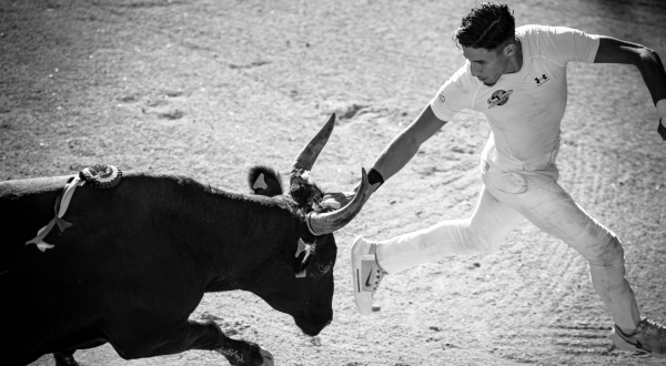 Le raseteur Ismaël Oukharti a remporté le Trophée taurin 3M 2025