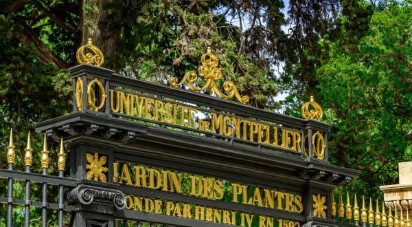 Portail Jardin des plantes Montpellier