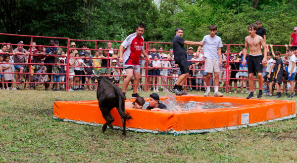 Toro piscine à Jacou