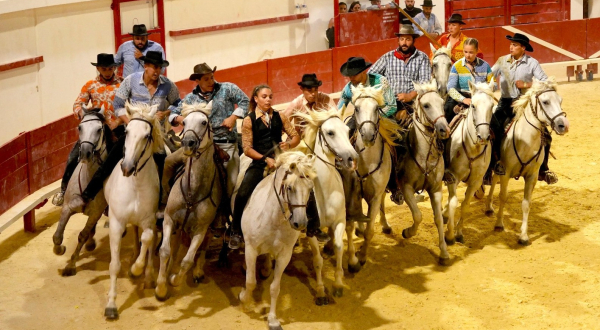 Gardians à cheval dans les arènes