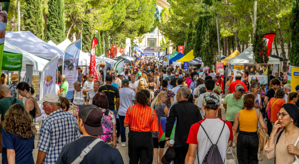 la foule à l'antigone des associations 