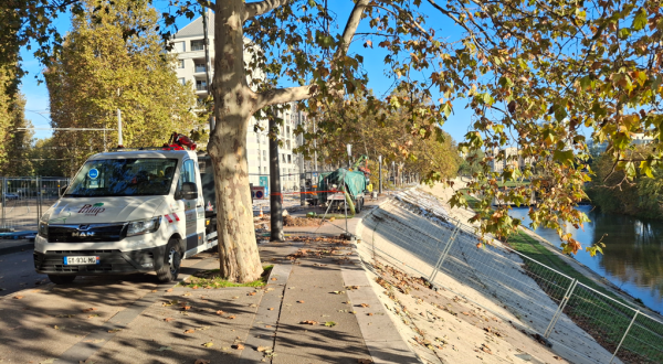 avenue du Pirée et berges du Lez, arbres et travaux 