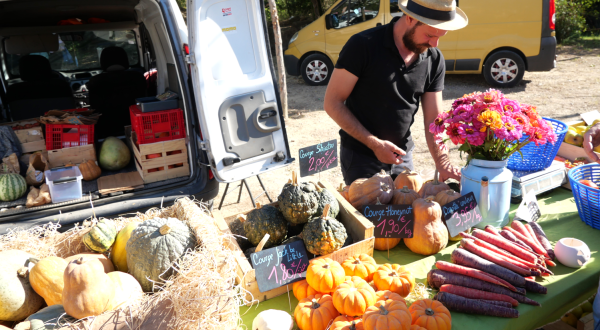 stand de producteur de légumes et courges