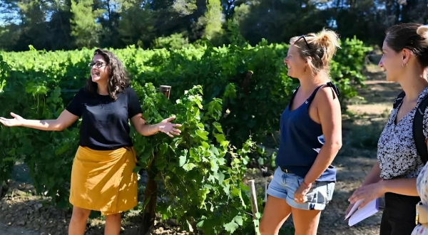 des personnes dans les vignes 